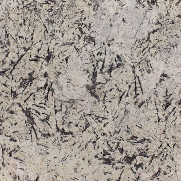Delicatus White