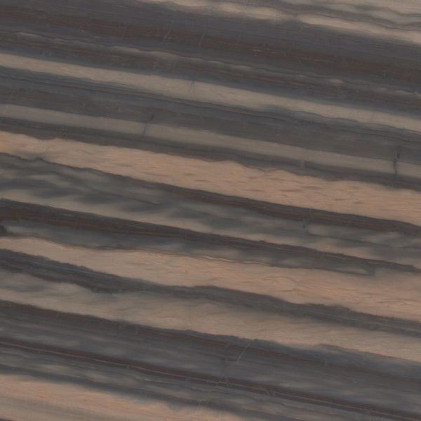 Elegant Brown