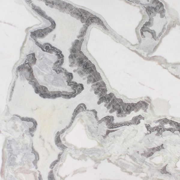 Oyster White